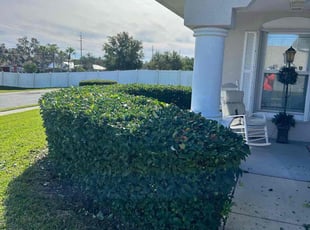 Bush Trimming by Quinton Davis for Beverly S. in Winter Haven, FL
