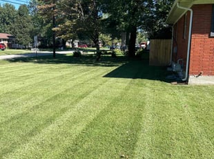 Michael W.'s Lawn Mowing service result