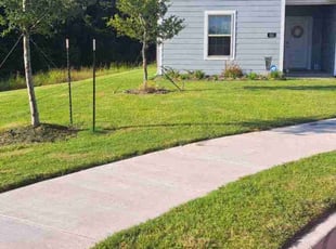 Ian E.'s Lawn Service service result
