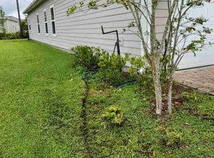 Bush Trimming by Brandon Madden for Linda S. in Jacksonville, FL