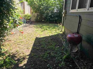 Leaf Removal by Israel Vazquez for Stephanie S. in Chicago, IL