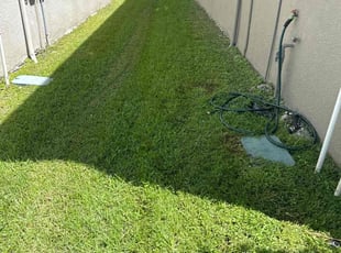 Michael R.'s Lawn Service service result
