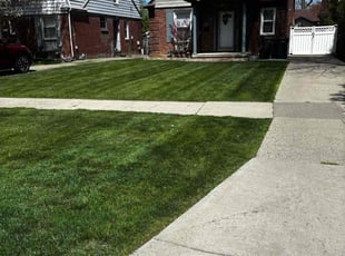 Sam A.'s Lawn Care service result