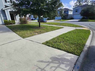 Missy H.'s Lawn Mowing service result