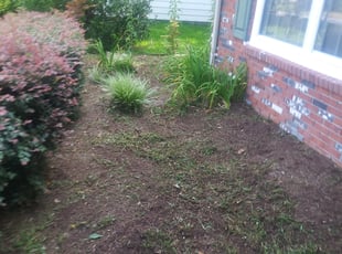 Weeding by Gary Cooper for Amanda M. in Virginia Beach, VA