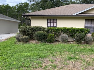 Bush Trimming by Devin Thorne for Charmaine I. in Palm Coast, FL