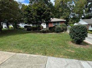 Douglas M.'s Lawn Mowing service result