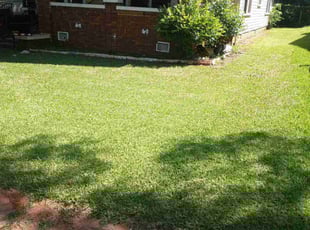Randolph J.'s Lawn Mowing service result