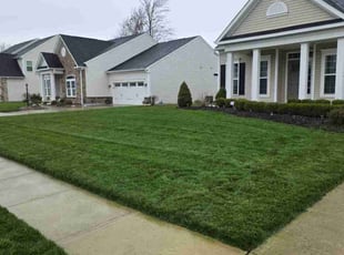 Kelly M.'s Lawn Service service result