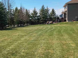 Kenny M.'s Lawn Service service result