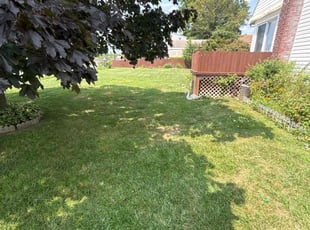 Cheryl J.'s Lawn Mowing service result