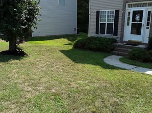 Weeding by James Waddell for Mary J. in Charlotte, NC