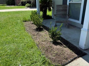 Weeding by Aldo Vega for Keigan H. in Prairieville, LA