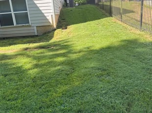 Bush Trimming by William Perry for Michael W. in Fairburn, GA