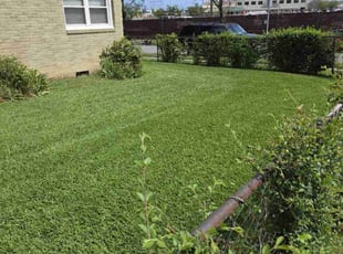 Michael H.'s Grass Cutting service result