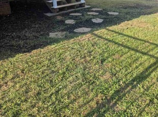 Timothy O.'s Lawn Service service result