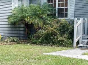 Bush Trimming by George Shuler for Brett F. in Tampa, FL