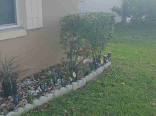 Bush Trimming by Robert Coleman for Sharon P. in Orlando, FL