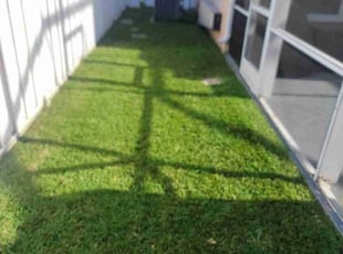 Jasmin D.'s Lawn Mowing service result