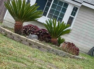 Weeding by Dustyn Roberts for Tuuaga I. in Oceanside, CA