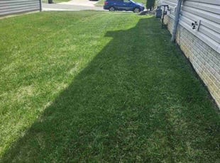 Teresa L.'s Lawn Care service result