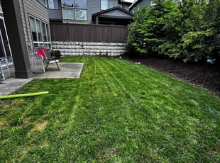 Genifer H.'s Lawn Mowing service result