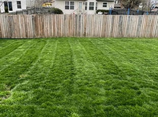 Kevin B.'s Yard Cutting service result