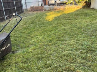 Michael D.'s Yard Cutting service result