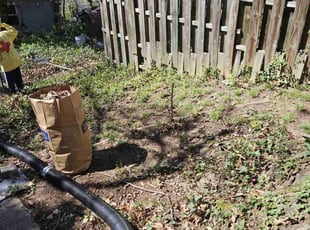Leaf Removal by James Mckenzie for Flora F. in Washington, DC