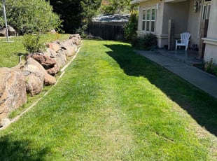Johnny M.'s Lawn Mowing service result