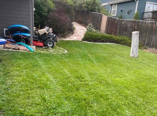 Bush Trimming by Aaron F for Steve L. in Broomfield, CO