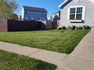 Carol D.'s Yard Cutting service result