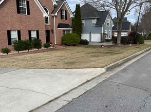 Leaf Removal by Delbert Rosa for Kenya K. in Snellville, GA