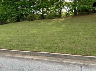 Wesley K.'s Lawn Mowing service result