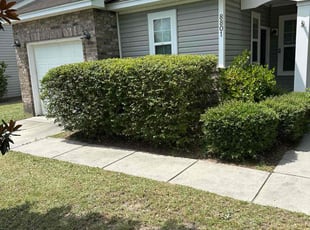 Bush Trimming by Antwain Turner for Maria H. in North Charleston, SC