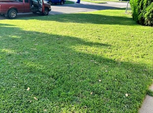 Johanna P.'s Lawn Care service result