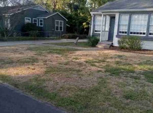 Weeding by Wisdom Adikema for Leah S. in Baton Rouge, LA