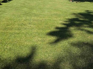 Jon K.'s Lawn Mowing Service service result