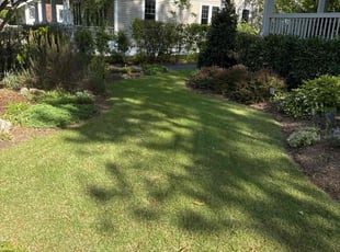 Joshua B.'s Lawn Mowing Service service result
