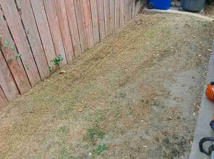 Cleanups by Daisy Guillen-Ramos for Jamie G. in Bakersfield, CA