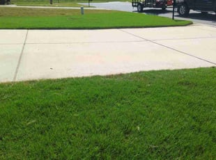 Bernie C.'s Lawn Service service result