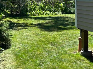 Paul N.'s Lawn Service service result