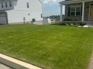 Jason B.'s Lawn Care service result