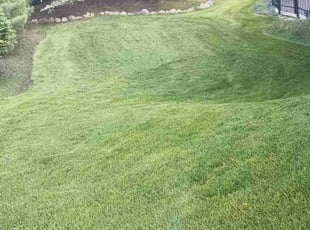 Alvin R.'s Lawn Care service result