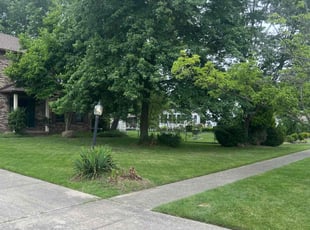 Therin S.'s Lawn Care service result