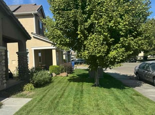 Andrew M.'s Yard Cutting service result