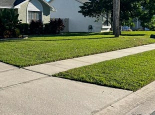 Joyce B.'s Lawn Mowing Service service result