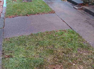 Cleanups by Joshua Bauer for Beth M. in Aspinwall, PA