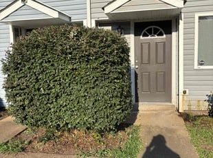 Bush Trimming by Jay Johnson for Mitchell W. in Newport News, VA