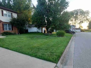 Leaf Removal by Kimberly Clark for Bryant A. in Belleville, IL